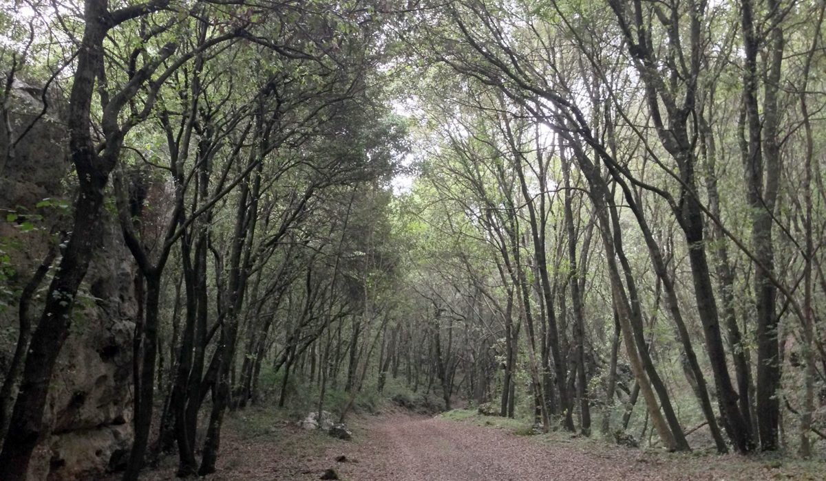 Il Sentiero Giarranauti